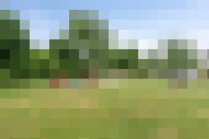 Seitzenhof 4 Nuenen thumbnail 27