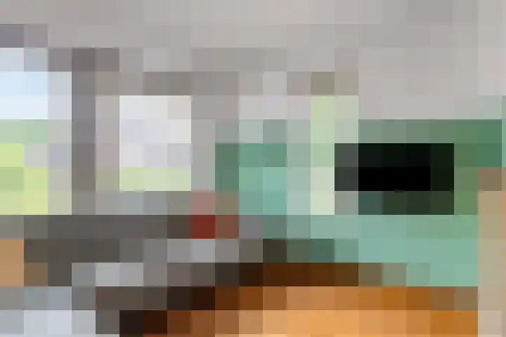Seitzenhof 4 Nuenen thumbnail 4