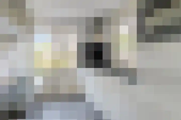Seitzenhof 4 Nuenen thumbnail 8