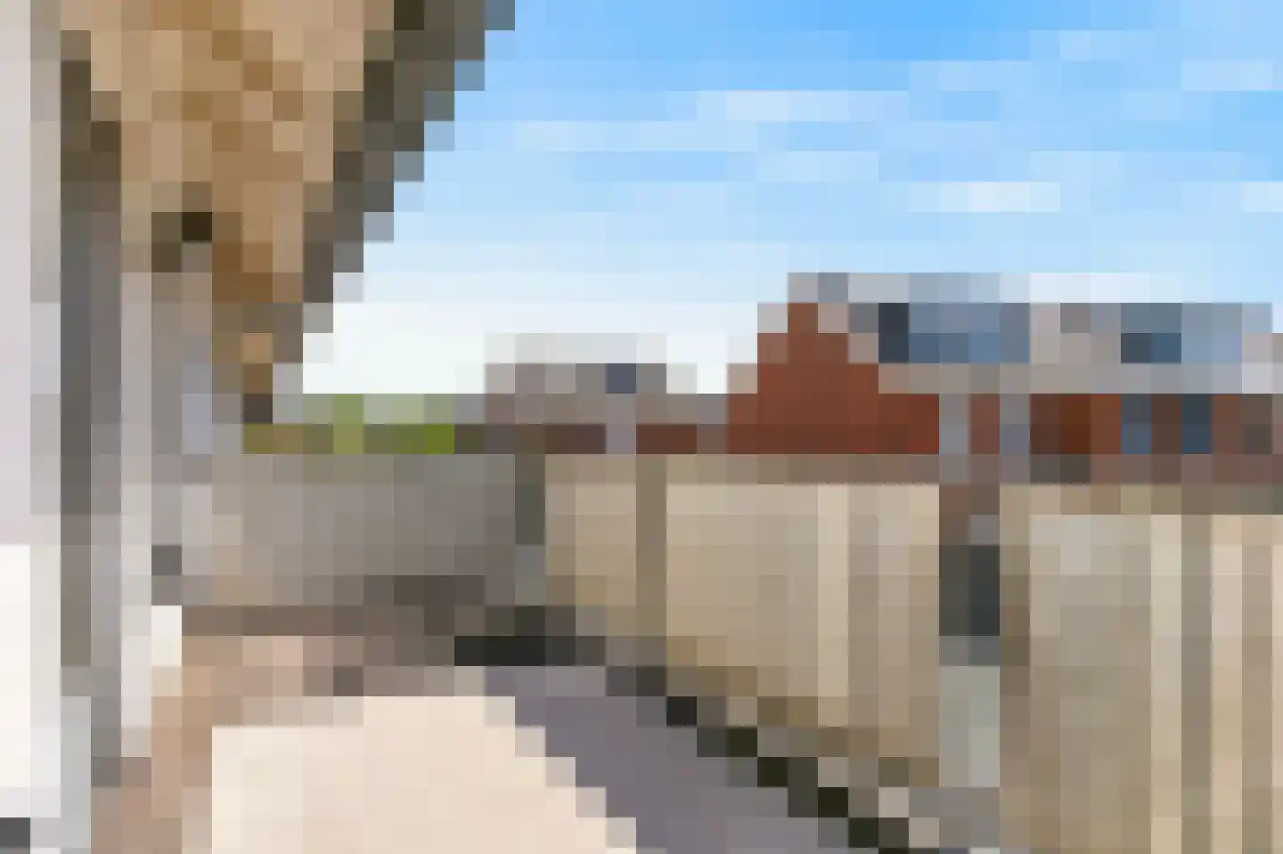 Seizoentuinenlaan 13 Vleuten thumbnail 20