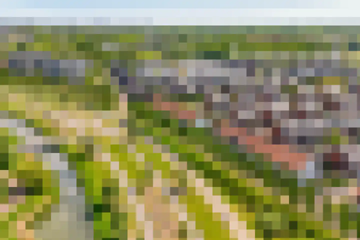 Seizoentuinenlaan 13 Vleuten thumbnail 37