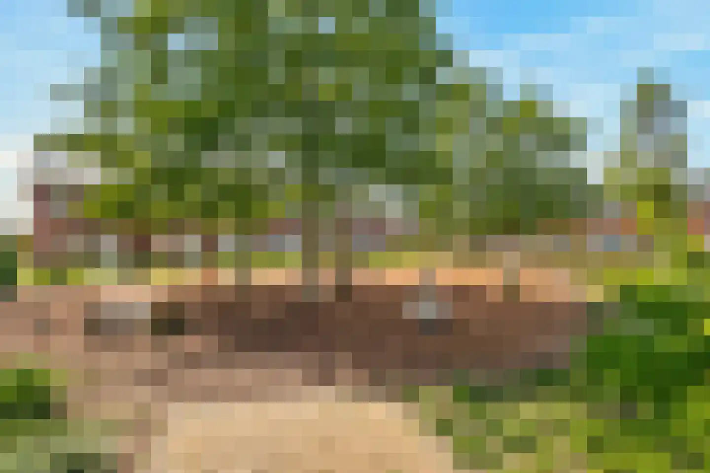 Seizoentuinenlaan 13 Vleuten thumbnail 43