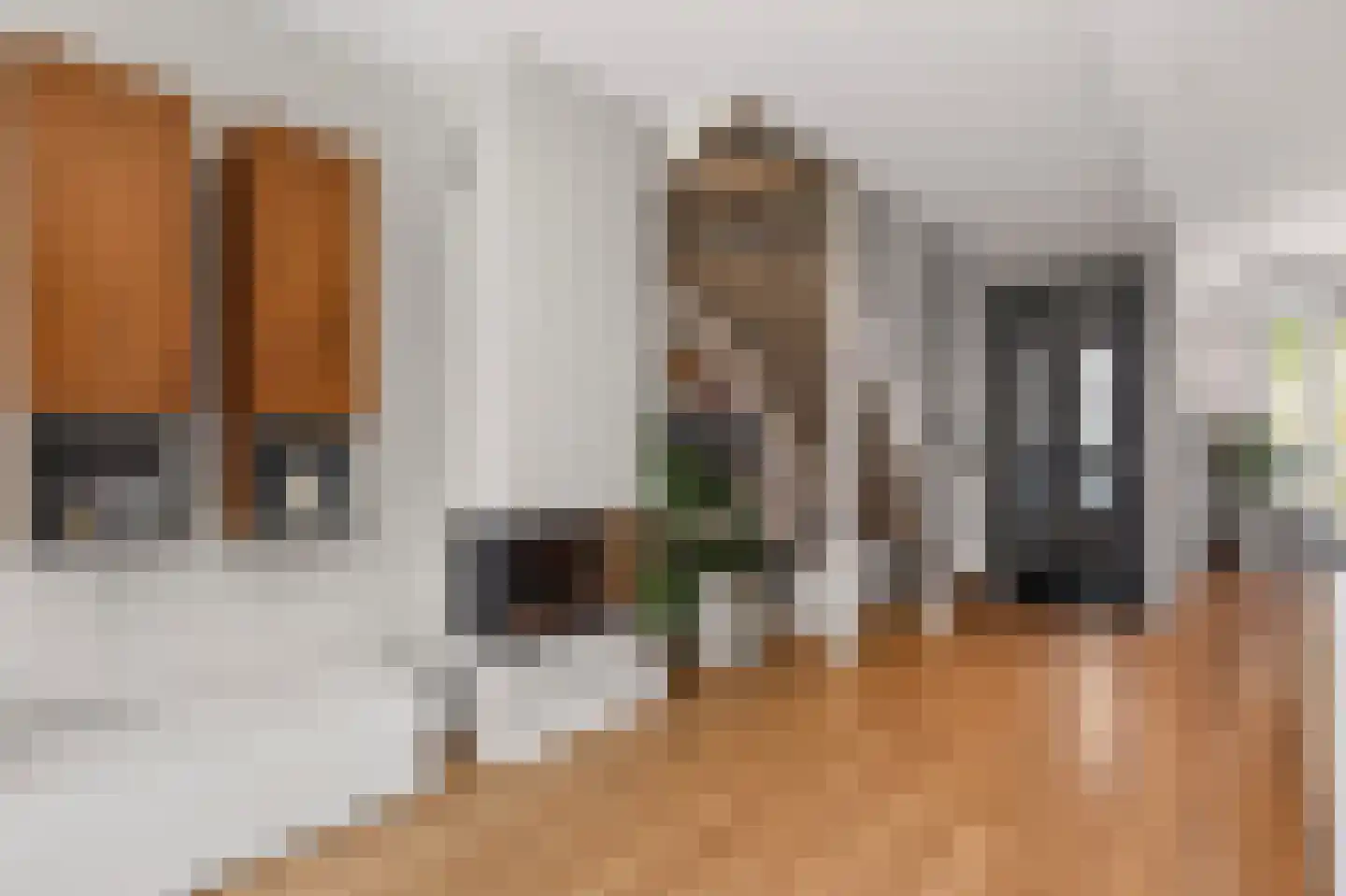 Seizoentuinenlaan 13 Vleuten thumbnail 7