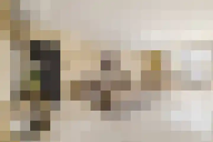 Seizoentuinenlaan 27 Vleuten thumbnail 10
