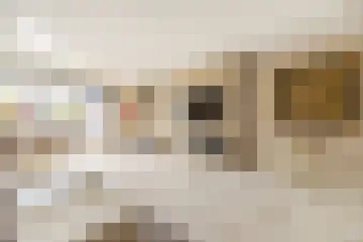 Seizoentuinenlaan 27 Vleuten thumbnail 11
