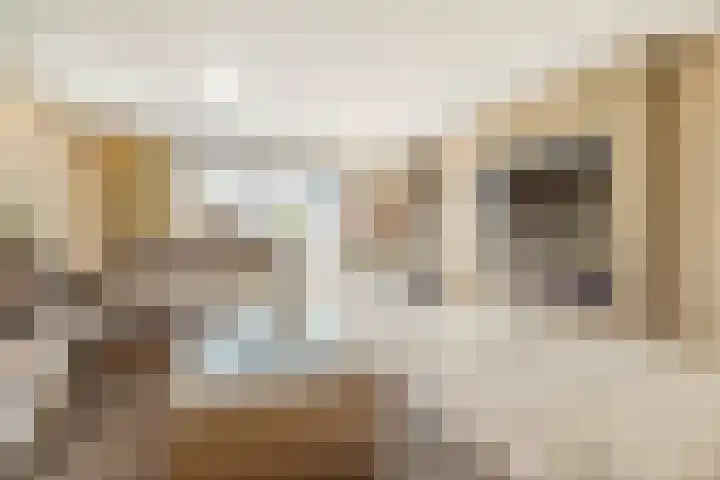 Seizoentuinenlaan 27 Vleuten thumbnail 12