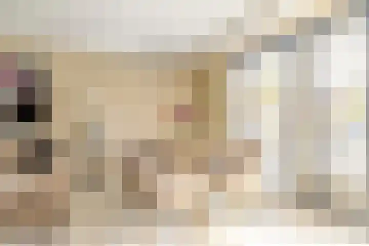 Seizoentuinenlaan 27 Vleuten thumbnail 14