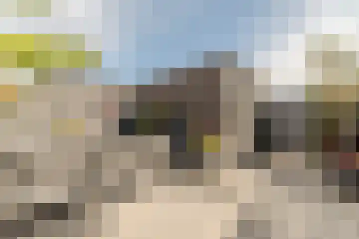 Seizoentuinenlaan 27 Vleuten thumbnail 15