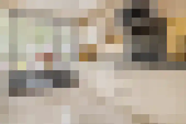 Seizoentuinenlaan 27 Vleuten thumbnail 25
