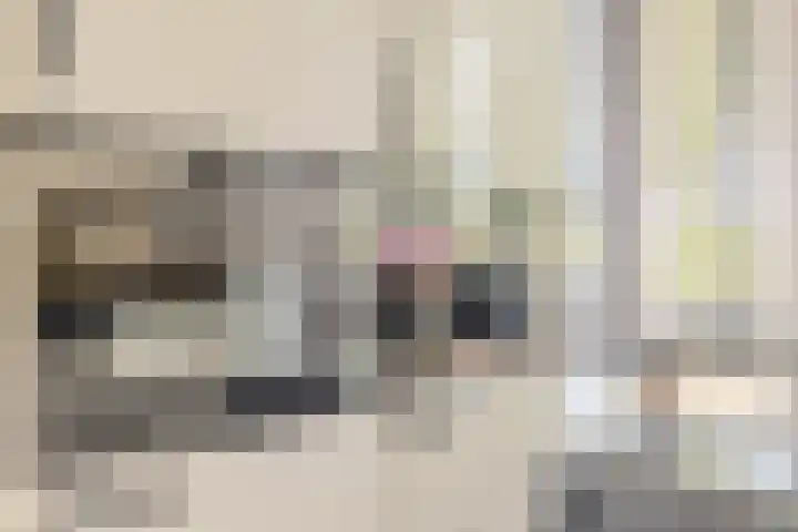 Seizoentuinenlaan 27 Vleuten thumbnail 27