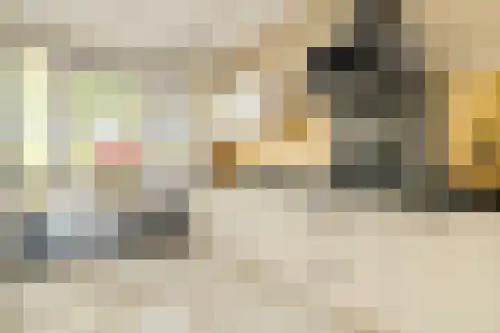 Seizoentuinenlaan 27 Vleuten thumbnail 28