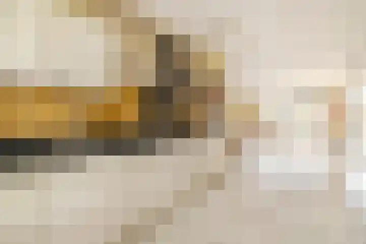 Seizoentuinenlaan 27 Vleuten thumbnail 29
