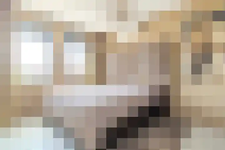 Seizoentuinenlaan 27 Vleuten thumbnail 32