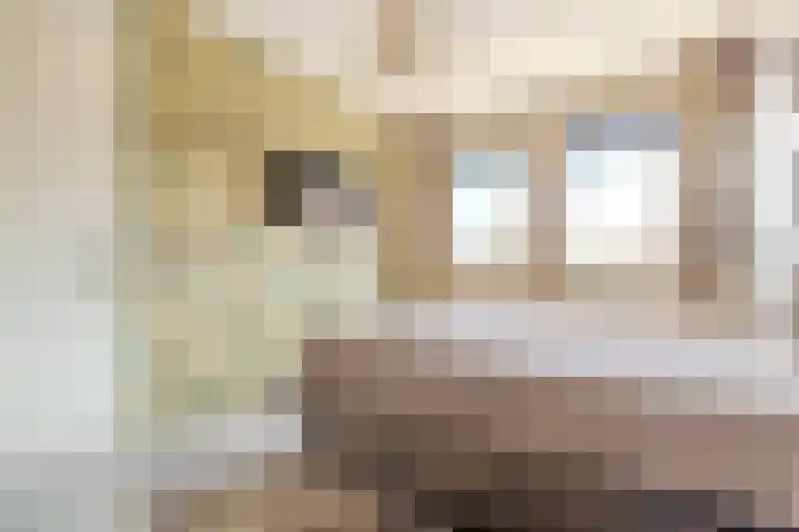 Seizoentuinenlaan 27 Vleuten thumbnail 34