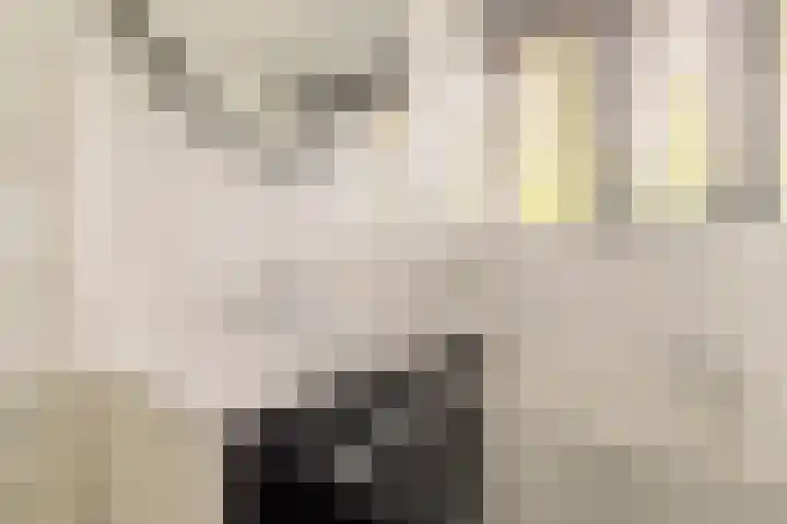 Seizoentuinenlaan 27 Vleuten thumbnail 36