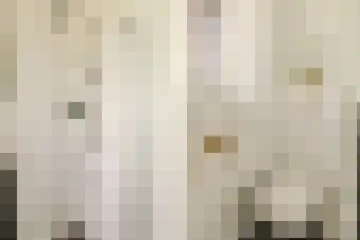 Seizoentuinenlaan 27 Vleuten thumbnail 38