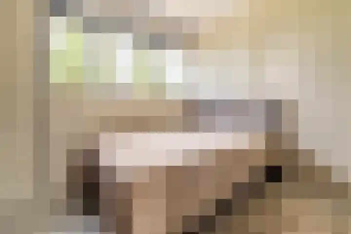Seizoentuinenlaan 27 Vleuten thumbnail 39