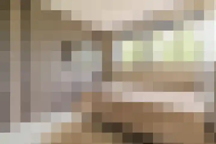 Seizoentuinenlaan 27 Vleuten thumbnail 40