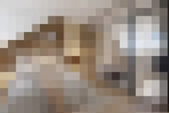 Seizoentuinenlaan 27 Vleuten thumbnail 45
