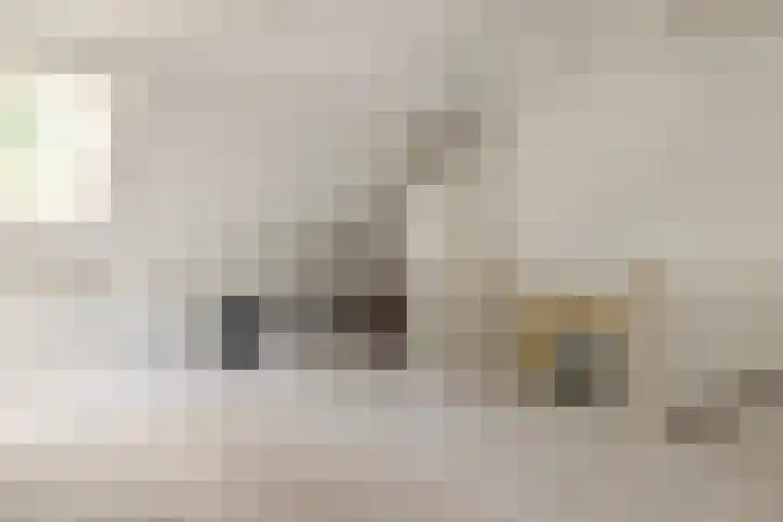 Seizoentuinenlaan 27 Vleuten thumbnail 46