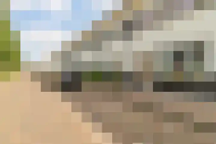 Seizoentuinenlaan 27 Vleuten thumbnail 54