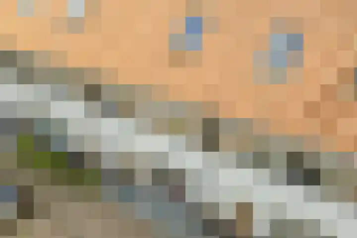 Seizoentuinenlaan 27 Vleuten thumbnail 57