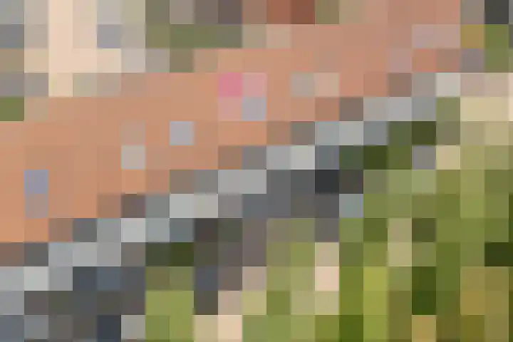 Seizoentuinenlaan 27 Vleuten thumbnail 58