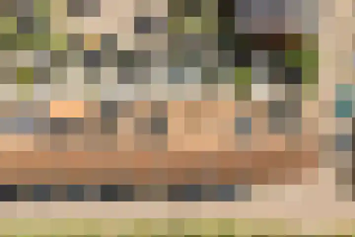 Seizoentuinenlaan 27 Vleuten thumbnail 59
