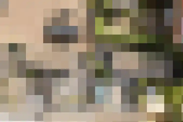Seizoentuinenlaan 27 Vleuten thumbnail 60