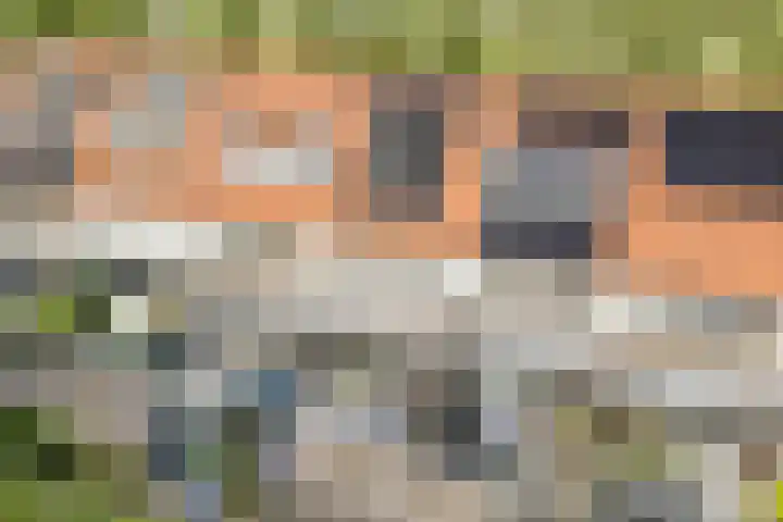 Seizoentuinenlaan 27 Vleuten thumbnail 61