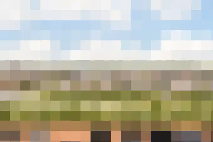 Seizoentuinenlaan 27 Vleuten thumbnail 64
