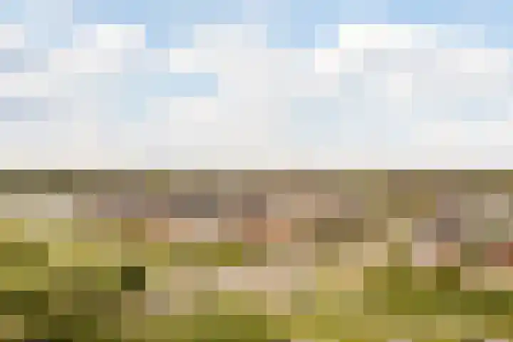 Seizoentuinenlaan 27 Vleuten thumbnail 65