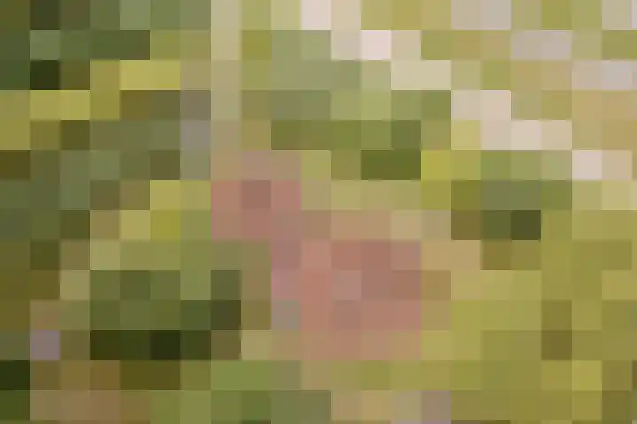 Seizoentuinenlaan 27 Vleuten thumbnail 66