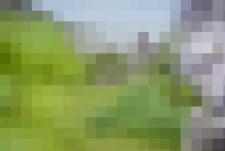 Seizoentuinenlaan 27 Vleuten thumbnail 69