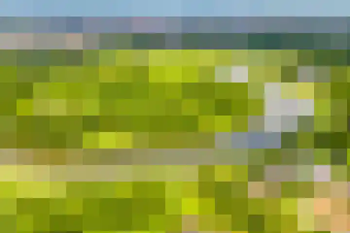 Seizoentuinenlaan 27 Vleuten thumbnail 72