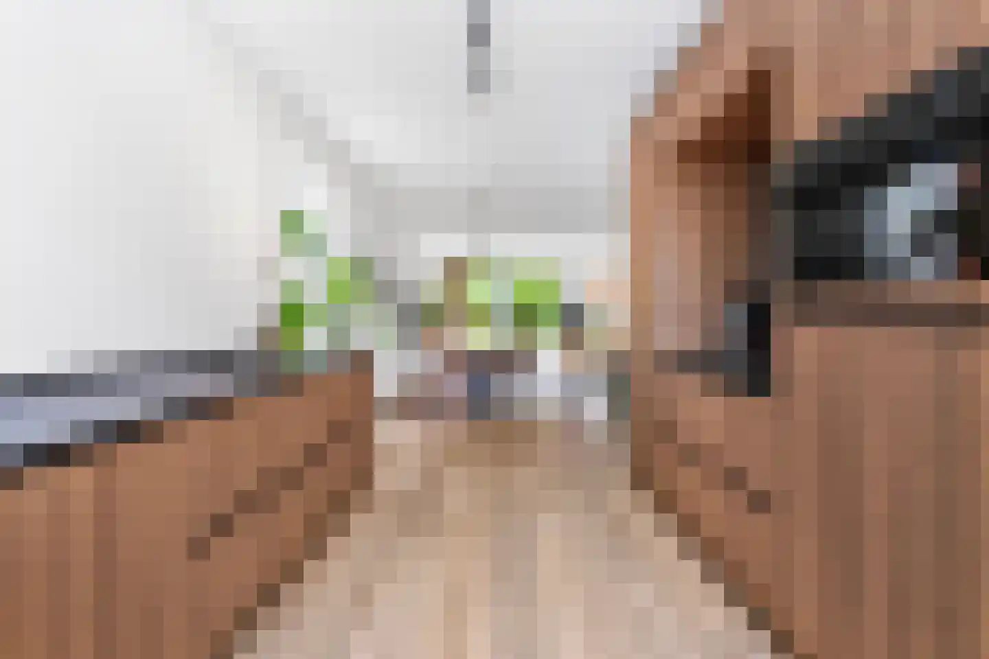 Seizoentuinenlaan 37 Vleuten thumbnail 11
