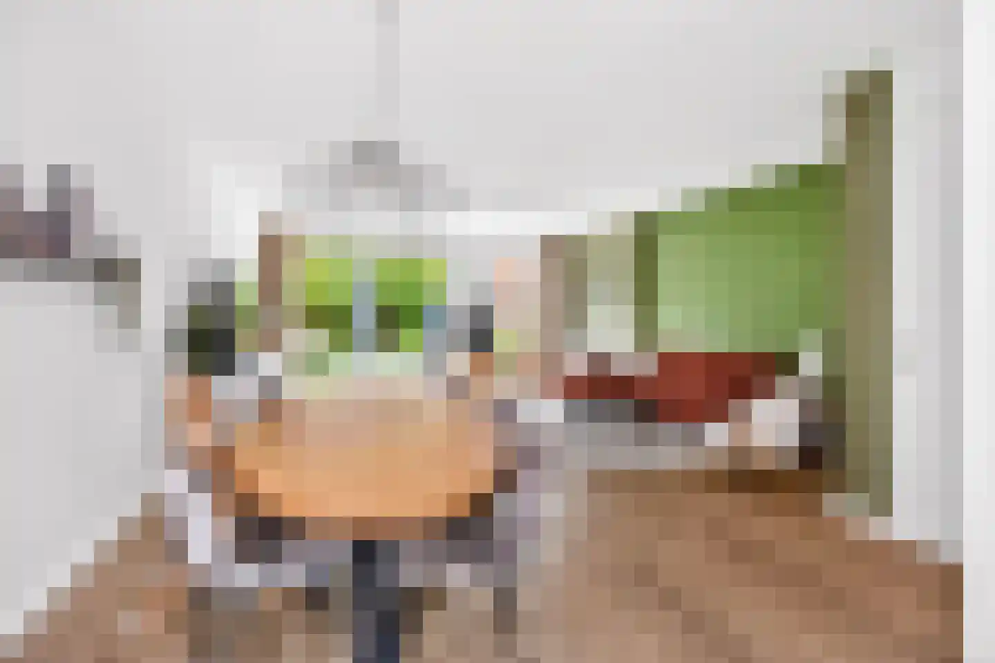 Seizoentuinenlaan 37 Vleuten thumbnail 14