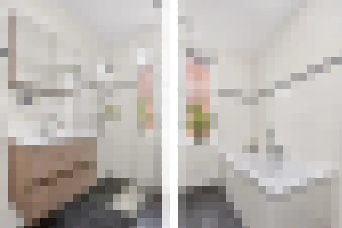 Seizoentuinenlaan 37 Vleuten thumbnail 41