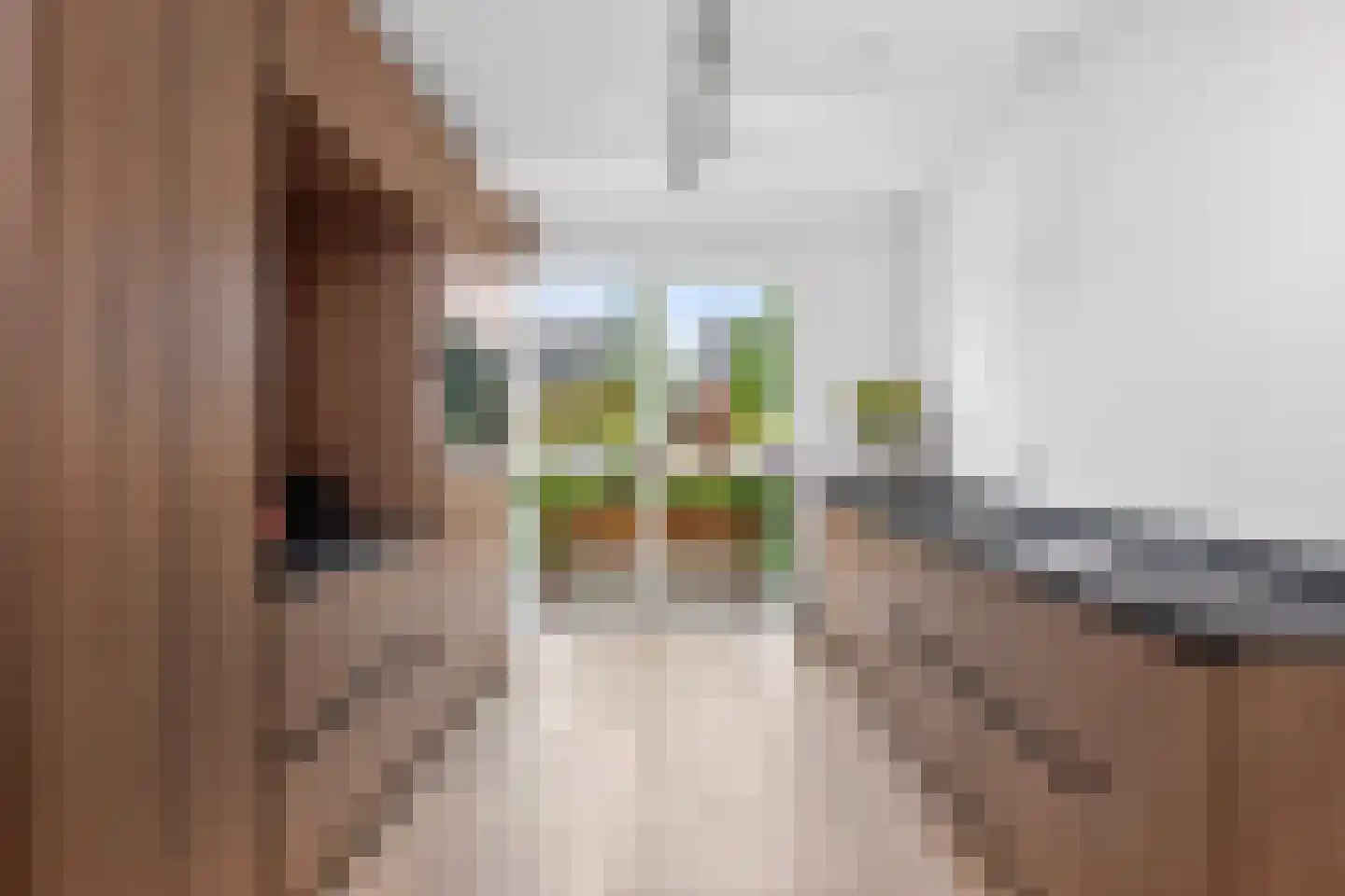 Seizoentuinenlaan 37 Vleuten thumbnail 5