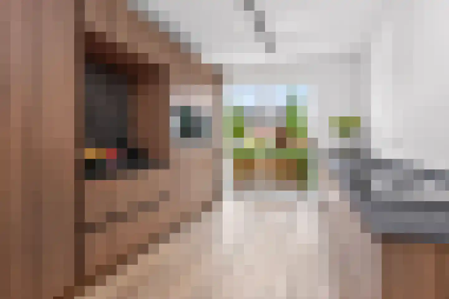 Seizoentuinenlaan 37 Vleuten thumbnail 9