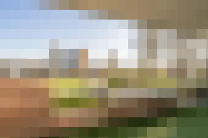 Selde Rust 25 18 Amstelveen thumbnail 20