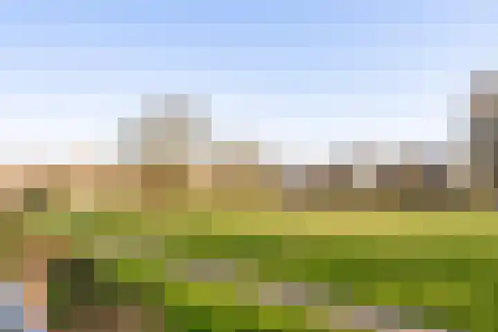 Selde Rust 25 18 Amstelveen thumbnail 22
