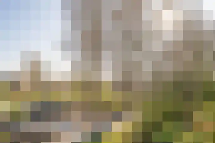 Selde Rust 25 18 Amstelveen thumbnail 23