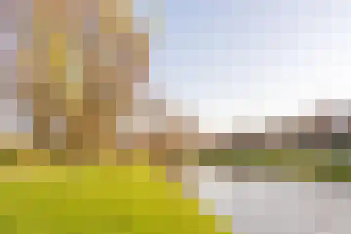 Selde Rust 25 18 Amstelveen thumbnail 35