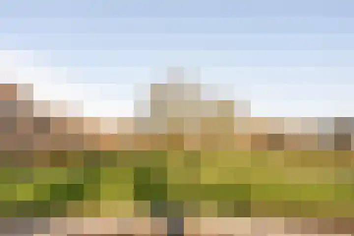 Selde Rust 25 18 Amstelveen thumbnail 5