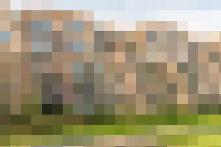 Selde Rust 25 18 Amstelveen thumbnail 6