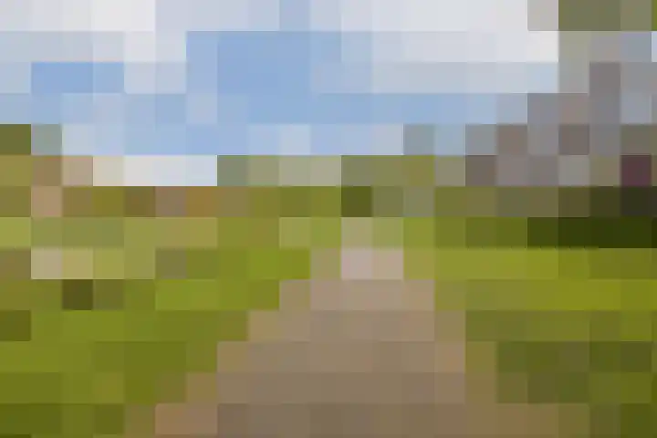 Selde Rust 25 26 Amstelveen thumbnail 21