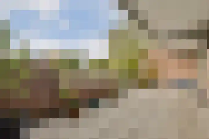 Selde Rust 25 26 Amstelveen thumbnail 6