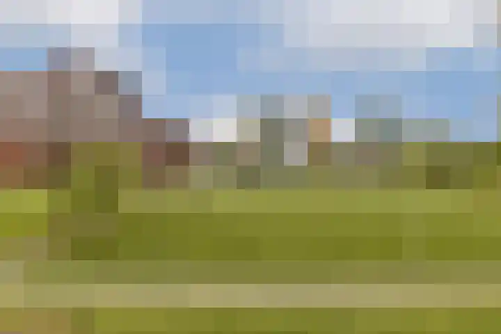 Selde Rust 25 26 Amstelveen thumbnail 8