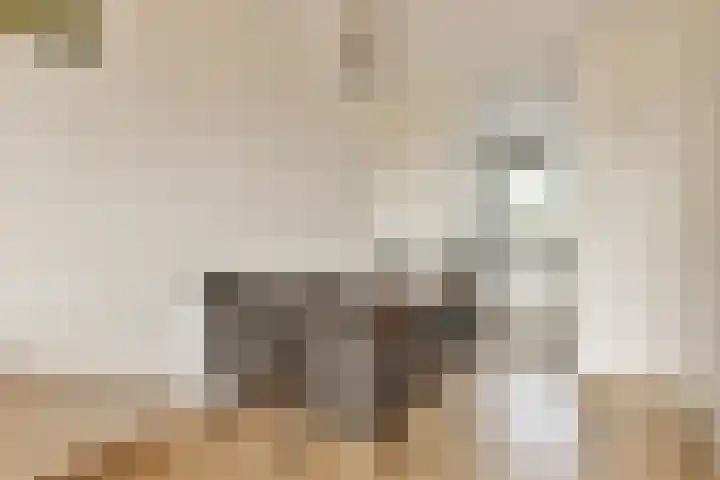 Selde Rust 25 26 Amstelveen thumbnail 9